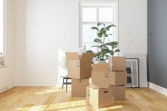 Home Décor Tips for First-Time Homeowners