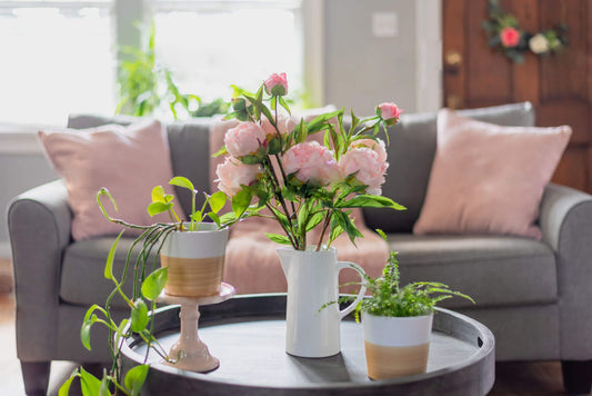 Spring Makeover Tips to Make Your Home Feel Fresh and Alive